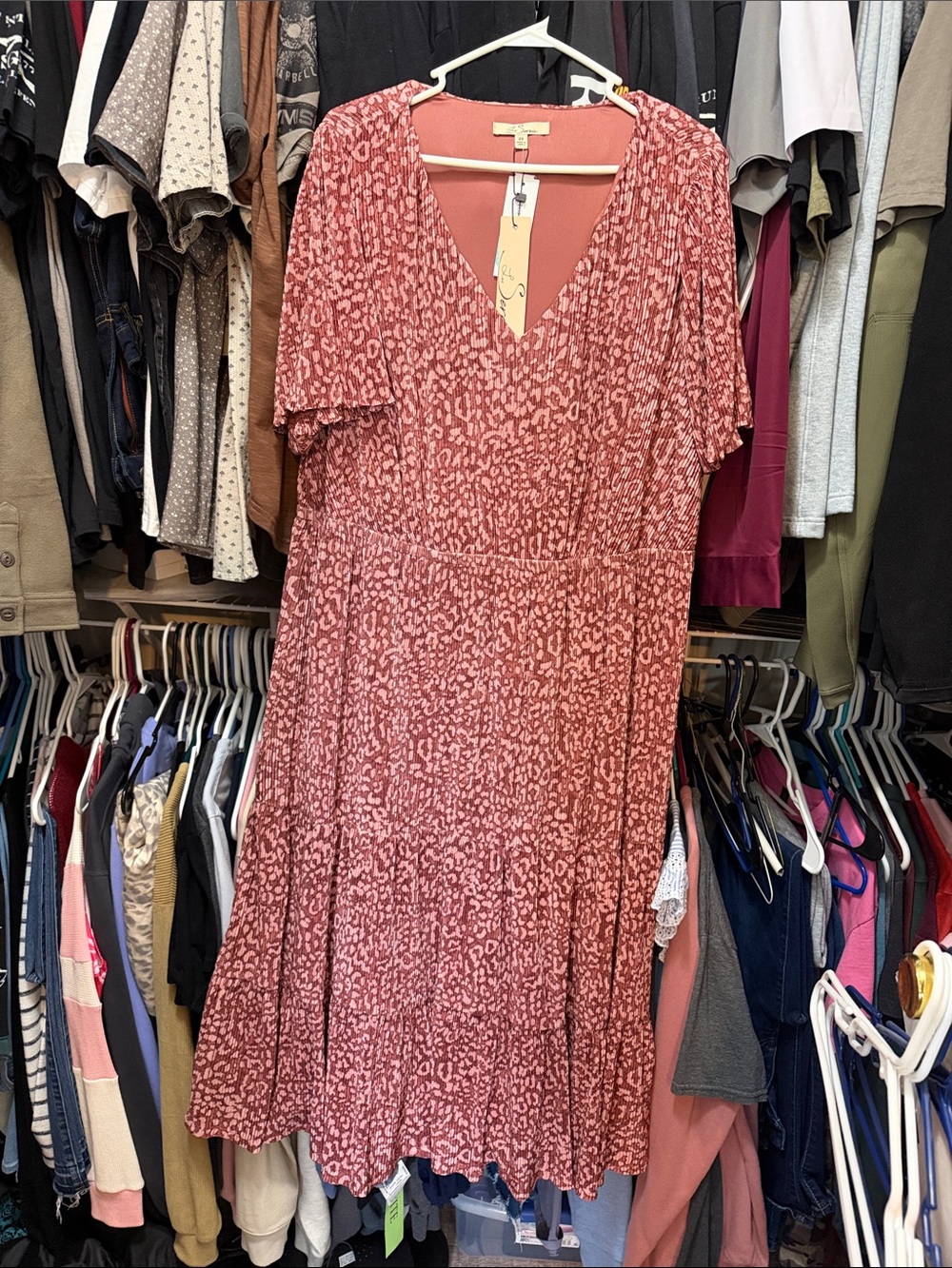 Women's V-Neck Rose Coral Printed Midi Dress